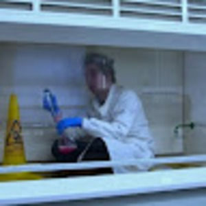 Meet your Posher, Philip